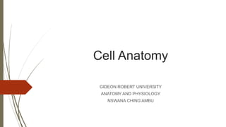 Cell Anatomy
GIDEON ROBERT UNIVERSITY
ANATOMY AND PHYSIOLOGY
NSWANA CHING’AMBU
 
