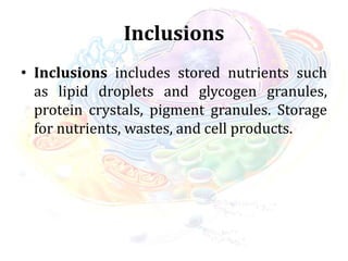 Inclusions
• Inclusions includes stored nutrients such
as lipid droplets and glycogen granules,
protein crystals, pigment granules. Storage
for nutrients, wastes, and cell products.
 