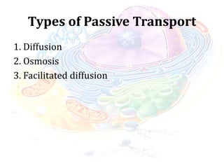 Types of Passive Transport
1. Diffusion
2. Osmosis
3. Facilitated diffusion
 