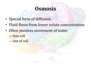 Osmosis
• Special form of diffusion
• Fluid flows from lower solute concentration
• Often involves movement of water
– Into cell
– Out of cell
 
