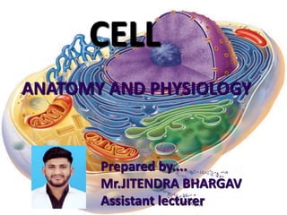 Cell (biology) visual data 6
