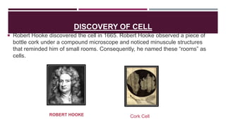 CELL AND CELL ORGANELLES | PPTX