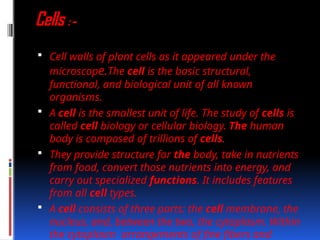 Cell and Cell Organelles for class 10.pptx