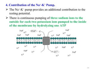 4. Contribution of the Na+-K+ Pump.
 The Na+-K+ pump provides an additional contribution to the
   resting potential.
 There is continuous pumping of three sodium ions to the
   outside for each two potassium ions pumped to the inside
   of the membrane by hydrolyzing one ATP




                                                               101
 