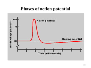 Phases of action potential




                             108
 