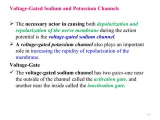 Voltage-Gated Sodium and Potassium Channels

 The necessary actor in causing both depolarization and
  repolarization of the nerve membrane during the action
  potential is the voltage-gated sodium channel.
 A voltage-gated potassium channel also plays an important
  role in increasing the rapidity of repolarization of the
  membrane.
Voltage-Gate
 The voltage-gated sodium channel has two gates-one near
  the outside of the channel called the activation gate, and
  another near the inside called the inactivation gate.




                                                               115
 