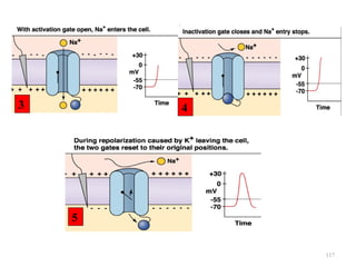 3       4




    5


            117
 