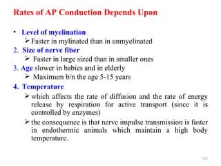 Rates of AP Conduction Depends Upon

• Level of myelination
     Faster in mylinated than in unmyelinated
2. Size of nerve fiber
     Faster in large sized than in smaller ones
3. Age slower in babies and in elderly
     Maximum b/n the age 5-15 years
4. Temperature
     which affects the rate of diffusion and the rate of energy
      release by respiration for active transport (since it is
      controlled by enzymes)
     the consequence is that nerve impulse transmission is faster
      in endothermic animals which maintain a high body
      temperature.

                                                                125
 