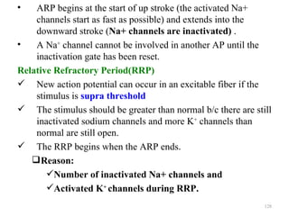 •   ARP begins at the start of up stroke (the activated Na+
    channels start as fast as possible) and extends into the
    downward stroke (Na+ channels are inactivated) .
•   A Na+ channel cannot be involved in another AP until the
    inactivation gate has been reset.
Relative Refractory Period(RRP)
 New action potential can occur in an excitable fiber if the
    stimulus is supra threshold
 The stimulus should be greater than normal b/c there are still
    inactivated sodium channels and more K+ channels than
    normal are still open.
 The RRP begins when the ARP ends.
    Reason:
       Number of inactivated Na+ channels and
       Activated K+ channels during RRP.
                                                              128
 