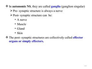  In autonomic NS, they are called ganglia (ganglion singular)
    Pre- synaptic structure is always a nerve
    Post- synaptic structure can be:
       • A nerve
       • Muscle
       • Gland
       • Skin
 The post- synaptic structures are collectively called effector
  organs or simply effectors.




                                                               133
 