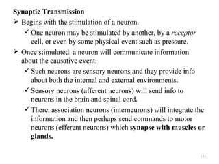 Synaptic Transmission
 Begins with the stimulation of a neuron.
    One neuron may be stimulated by another, by a receptor
     cell, or even by some physical event such as pressure.
 Once stimulated, a neuron will communicate information
  about the causative event.
    Such neurons are sensory neurons and they provide info
     about both the internal and external environments.
    Sensory neurons (afferent neurons) will send info to
     neurons in the brain and spinal cord.
    There, association neurons (interneurons) will integrate the
     information and then perhaps send commands to motor
     neurons (efferent neurons) which synapse with muscles or
     glands.

                                                               135
 