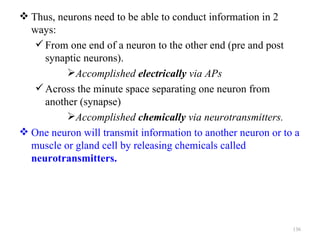  Thus, neurons need to be able to conduct information in 2
  ways:
    From one end of a neuron to the other end (pre and post
     synaptic neurons).
          Accomplished electrically via APs
    Across the minute space separating one neuron from
     another (synapse)
          Accomplished chemically via neurotransmitters.
 One neuron will transmit information to another neuron or to a
  muscle or gland cell by releasing chemicals called
  neurotransmitters.




                                                              136
 