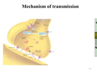 Mechanism of transmission




                            138
 