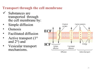 Transport through the cell membrane
 Substances are
   transported through
   the cell membrane by:
• Simple diffusion
• Osmosis
                          ECF
• Facilitated diffusion
• Active transport (1O
   and 2O) and
• Vesicular transport     ICF
   mechanisms.



                                      26
 