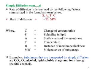Simple Diffusion cont….d
 Rate of diffusion is determined by the following factors
  summarized in the formula shown below.
                             S. A. T. C
 Rate of diffusion =           D. MW


Where,        C       =      Change of concentration
              S       =      Solubility in lipid
              A       =      Surface area of the membrane
              T       =      Temperature
              D       =      Distance or membrane thickness
              MW      =      Molecular wt of substances

 Examples: Substances that are transported by simple diffusion
  are CO2, O2, alcohol, lipid soluble drugs and ions through
  specific channels.
                                                              28
 