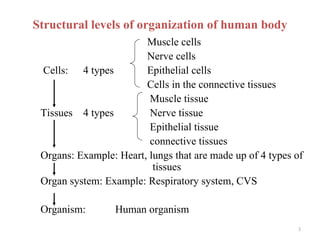 Structural levels of organization of human body
                        Muscle cells
                        Nerve cells
 Cells: 4 types         Epithelial cells
                        Cells in the connective tissues
                         Muscle tissue
 Tissues 4 types         Nerve tissue
                         Epithelial tissue
                         connective tissues
 Organs: Example: Heart, lungs that are made up of 4 types of
                          tissues
 Organ system: Example: Respiratory system, CVS

 Organism:        Human organism
                                                           3
 
