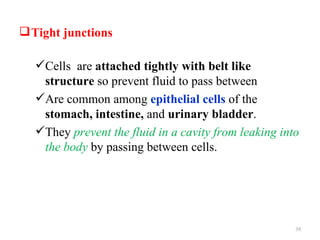  Tight junctions

  Cells are attached tightly with belt like
   structure so prevent fluid to pass between
  Are common among epithelial cells of the
   stomach, intestine, and urinary bladder.
  They prevent the fluid in a cavity from leaking into
   the body by passing between cells.




                                                      39
 