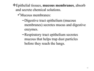 Epithelial tissues, mucous membranes, absorb
 and secrete chemical solutions.
  Mucous membranes:
     – Digestive tract epithelium (mucous
       membranes) secretes mucus and digestive
       enzymes.
     – Respiratory tract epithelium secretes
       mucous that helps trap dust particles
       before they reach the lungs.




                                                 46
 