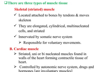  There are three types of muscle tissue
      Skeletal (striated) muscle
       Located attached to bones by tendons & moves
        skeleton
       They are elongated, cylindrical, multinucleated
        cells, and striated
       Innervated by somatic nerve system
          Responsible for voluntary movements.
   B. Cardiac muscle
       Striated, uni or bi nucleated muscles found in
        walls of the heart forming contractile tissue of
        heart.
       Controlled by autonomic nerve system, drugs and  54
 