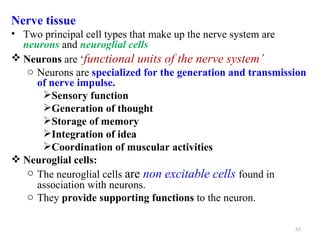 Nerve tissue
• Two principal cell types that make up the nerve system are
  neurons and neuroglial cells
 Neurons are ‘functional units of the nerve system’
   o Neurons are specialized for the generation and transmission
     of nerve impulse.
      Sensory function
      Generation of thought
      Storage of memory
      Integration of idea
      Coordination of muscular activities
 Neuroglial cells:
   o The neuroglial cells are non excitable cells found in
     association with neurons.
   o They provide supporting functions to the neuron.

                                                             65
 