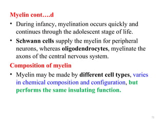 Myelin cont….d
• During infancy, myelination occurs quickly and
  continues through the adolescent stage of life.
• Schwann cells supply the myelin for peripheral
  neurons, whereas oligodendrocytes, myelinate the
  axons of the central nervous system.
Composition of myelin
• Myelin may be made by different cell types, varies
  in chemical composition and configuration, but
  performs the same insulating function.



                                                       73
 