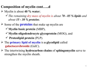 Composition of myelin cont…..d
 Myelin is about 40 % water;
    The remaining dry mass of myelin is about 70 - 85 % lipids and
     about 15 - 30 % proteins.
 Some of the proteins that make up myelin are
    Myelin basic protein (MBP),
    Myelin oligodendrocyte glycoprotein (MOG), and
    Proteolipid protein (PLP).
 The primary lipid of myelin is a glycolipid called
   galactocerebroside (GalC).
 The intertwining hydrocarbon chains of sphingomyelin serve to
  strengthen the myelin sheath.


                                                                 74
 