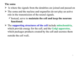 The soma
 Is where the signals from the dendrites are joined and passed on
 The soma and the nucleus and organelles do not play an active
  role in the transmission of the neural signals.
    Instead, serve to maintain the cell and keep the neurons
     functional.
 The supporting structures of the cell include mitochondria,
  which provide energy for the cell, and the Golgi apparatus,
  which packages products created by the cell and secretes them
  outside the cell wall.




                                                               77
 