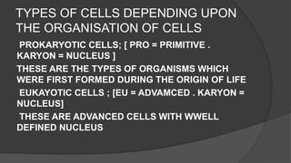 Cell and cell structure | PPTX