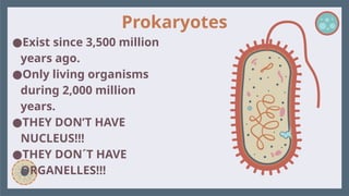 Prokaryotes
●Exist since 3,500 million
years ago.
●Only living organisms
during 2,000 million
years.
●THEY DON’T HAVE
NUCLEUS!!!
●THEY DON´T HAVE
ORGANELLES!!!
 