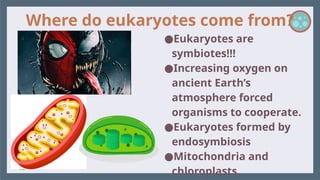 Where do eukaryotes come from?
●Eukaryotes are
symbiotes!!!
●Increasing oxygen on
ancient Earth’s
atmosphere forced
organisms to cooperate.
●Eukaryotes formed by
endosymbiosis
●Mitochondria and
chloroplasts.
 