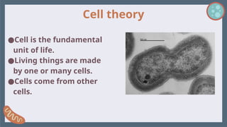 Cell theory
●Cell is the fundamental
unit of life.
●Living things are made
by one or many cells.
●Cells come from other
cells.
 