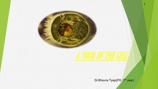 A TOUR OF THE CELL
1
Dr.Bhavna Tyagi(PG 1ST year)1
 
