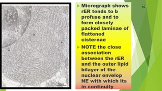 Cell and its constituents | PPTX