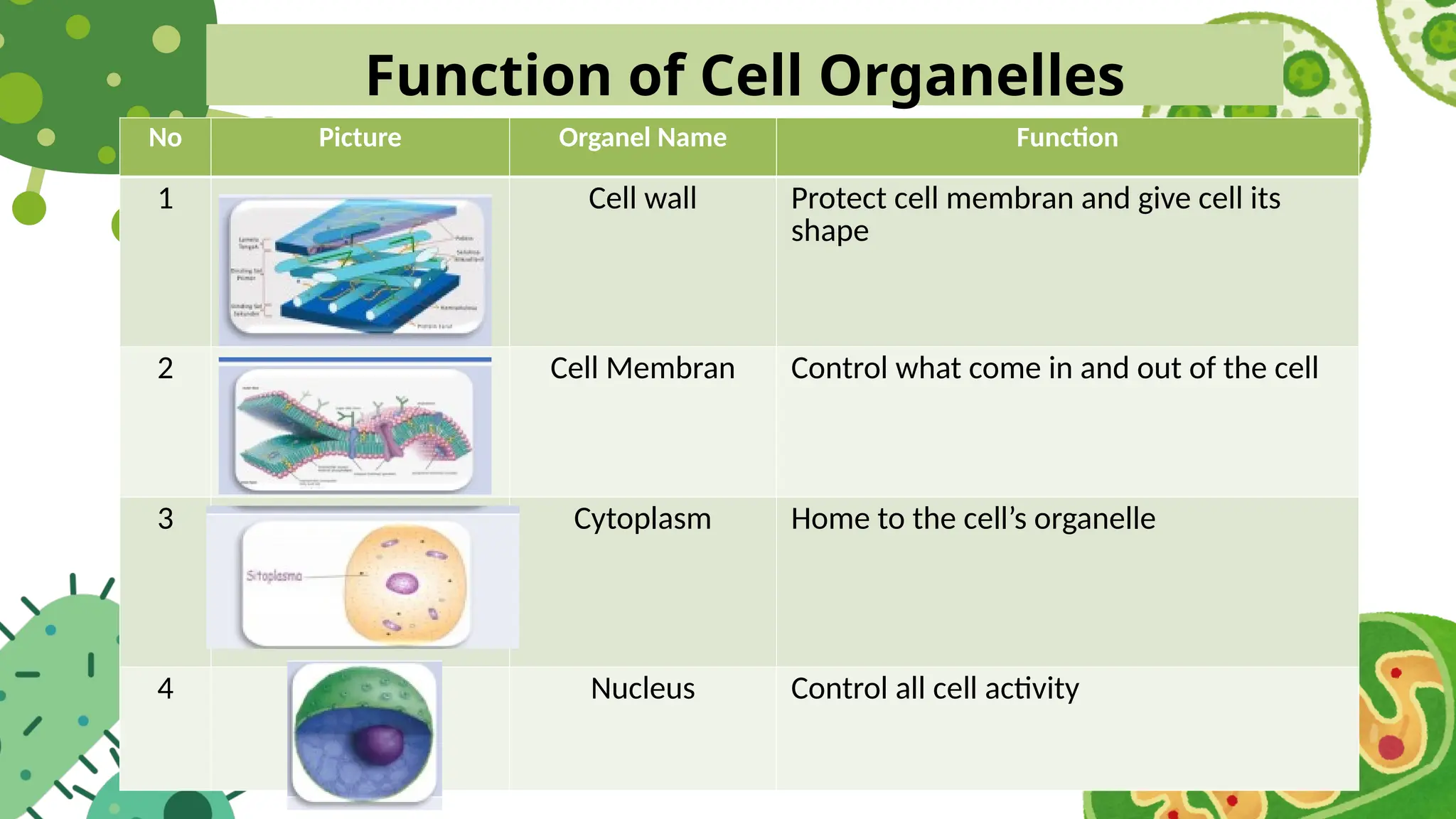 Function of Cell Organelles
No Picture Organel Name Function
1 Cell wall Protect cell membran and give cell its
shape
2 Cell Membran Control what come in and out of the cell
3 Cytoplasm Home to the cell’s organelle
4 Nucleus Control all cell activity
 