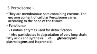 5.Peroxisome:-
•They are membranous sacs containing enzyme. The
enzyme content of cellular Peroxisome varies
according to the need of the tissues.
• Functions:-
. - Contain enzymes used for detoxification.
- Also participates in degradation of very long chain
fatty acids and synthesis of glycerolipids,
plasmalogens and isoprenoid.
 
