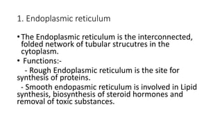 1. Endoplasmic reticulum
•The Endoplasmic reticulum is the interconnected,
folded network of tubular strucutres in the
cytoplasm.
• Functions:-
- Rough Endoplasmic reticulum is the site for
synthesis of proteins.
- Smooth endopasmic reticulum is involved in Lipid
synthesis, biosynthesis of steroid hormones and
removal of toxic substances.
 