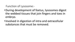 Function of Lysosome:-
•During development of foetus, lysosomes digest
the webbed tissues that join fingers and toes in
embryo.
•Involved in digestion of intra and extracellular
substances that must be removed.
 