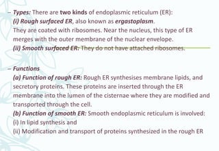 Er Types Cell and its organelles.pptx