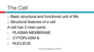 The Cell
 Basic structural and functional unit of life.
 Structural features of a cell
A cell has 3 main parts:
1. PLASMA MEMBRANE
2. CYTOPLASM &
3. NUCLEUS
Himanshu Aggarwal, KSOP
 