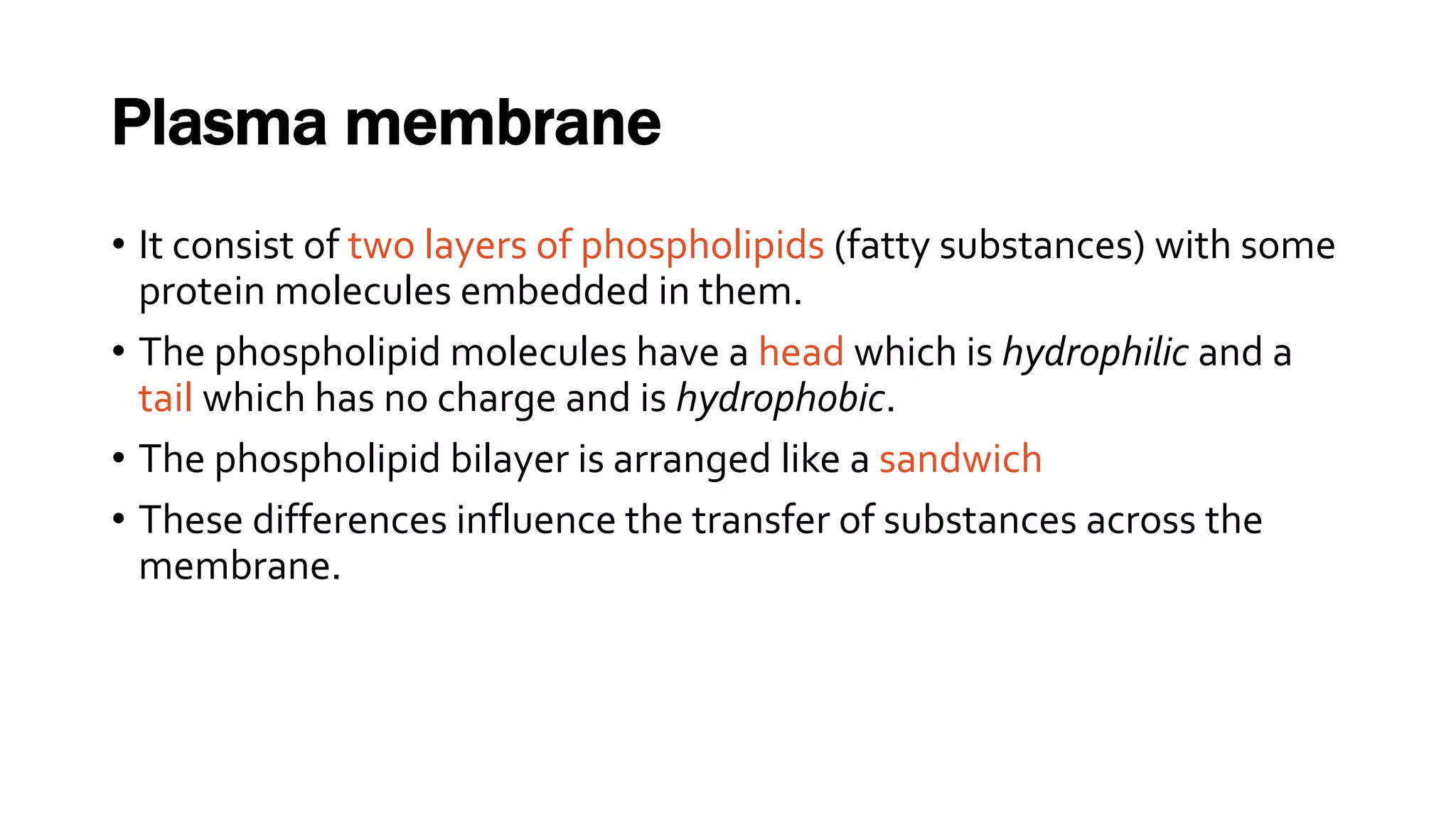 Plasma membrane
• It consist of two layers of phospholipids (fatty substances) with some
protein molecules embedded in them.
• The phospholipid molecules have a head which is hydrophilic and a
tail which has no charge and is hydrophobic.
• The phospholipid bilayer is arranged like a sandwich
• These differences influence the transfer of substances across the
membrane.
 