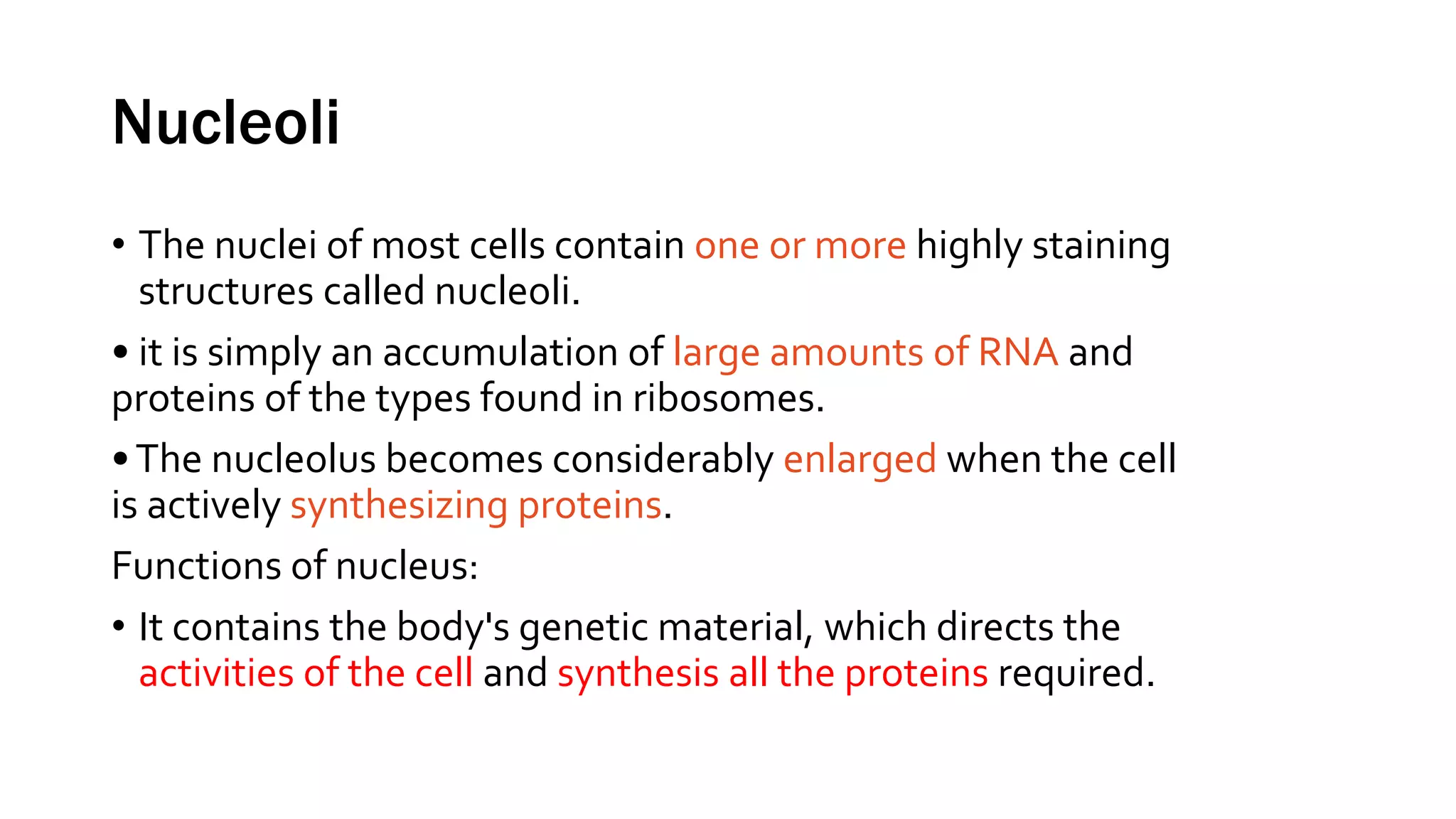 Nucleoli
• The nuclei of most cells contain one or more highly staining
structures called nucleoli.
• it is simply an accumulation of large amounts of RNA and
proteins of the types found in ribosomes.
•The nucleolus becomes considerably enlarged when the cell
is actively synthesizing proteins.
Functions of nucleus:
• It contains the body's genetic material, which directs the
activities of the cell and synthesis all the proteins required.
 