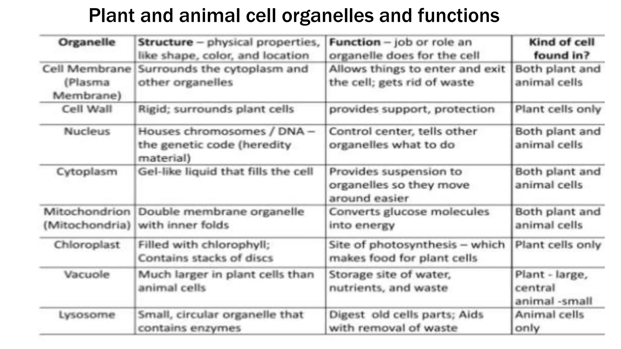 Plant and animal cell organelles and functions
 