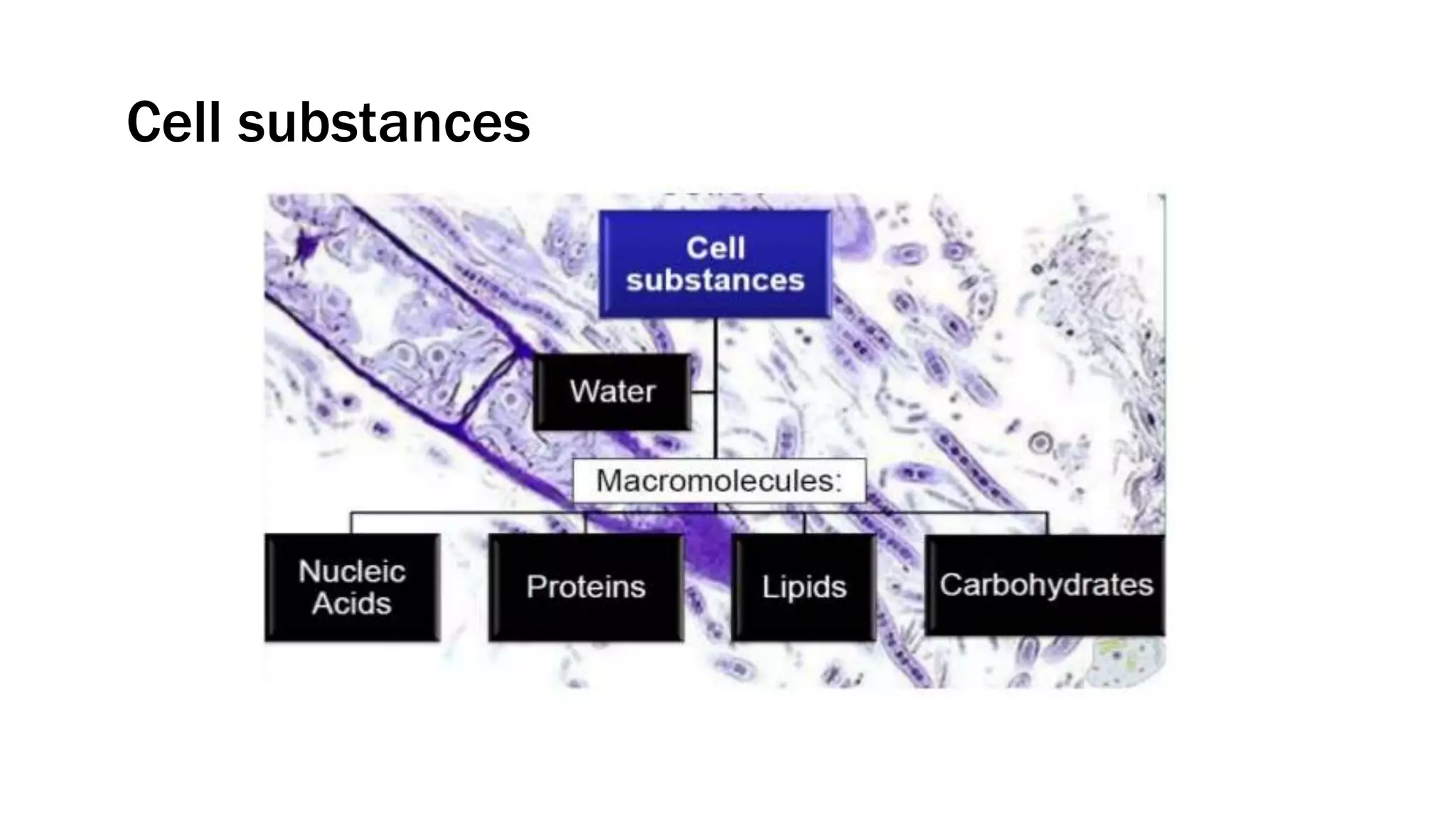 Cell substances
 