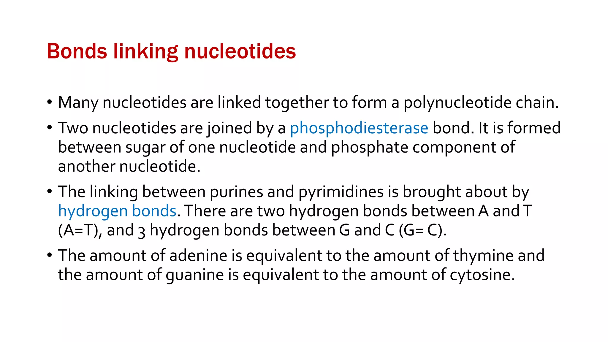 Bonds linking nucleotides
• Many nucleotides are linked together to form a polynucleotide chain.
• Two nucleotides are joined by a phosphodiesterase bond. It is formed
between sugar of one nucleotide and phosphate component of
another nucleotide.
• The linking between purines and pyrimidines is brought about by
hydrogen bonds.There are two hydrogen bonds betweenA andT
(A=T), and 3 hydrogen bonds between G and C (G= C).
• The amount of adenine is equivalent to the amount of thymine and
the amount of guanine is equivalent to the amount of cytosine.
 
