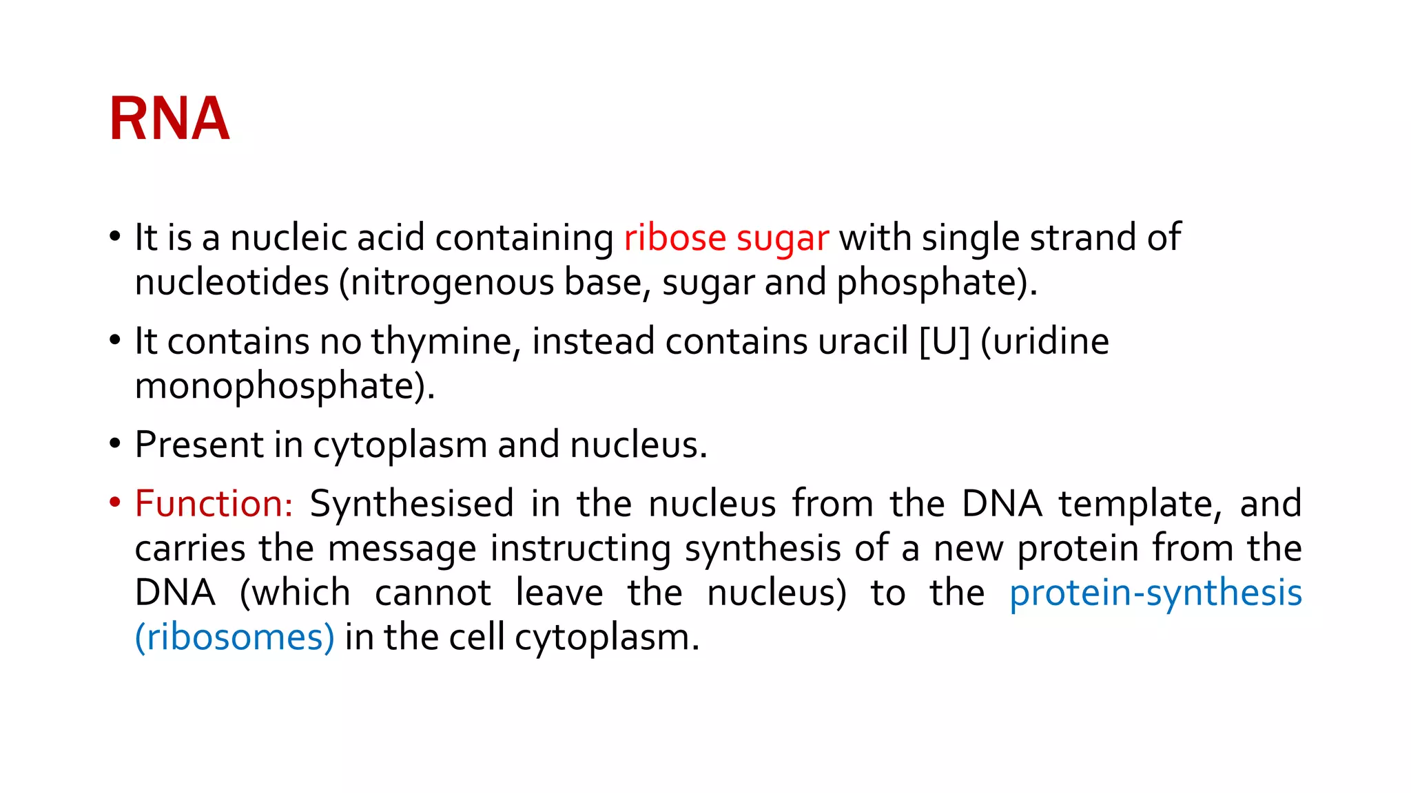RNA
• It is a nucleic acid containing ribose sugar with single strand of
nucleotides (nitrogenous base, sugar and phosphate).
• It contains no thymine, instead contains uracil [U] (uridine
monophosphate).
• Present in cytoplasm and nucleus.
• Function: Synthesised in the nucleus from the DNA template, and
carries the message instructing synthesis of a new protein from the
DNA (which cannot leave the nucleus) to the protein-synthesis
(ribosomes) in the cell cytoplasm.
 
