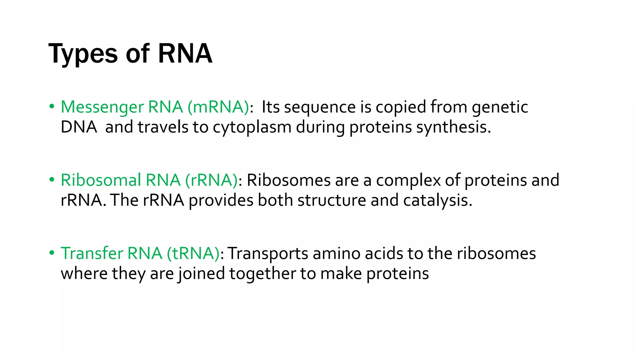 Types of RNA
• Messenger RNA (mRNA): Its sequence is copied from genetic
DNA and travels to cytoplasm during proteins synthesis.
• Ribosomal RNA (rRNA): Ribosomes are a complex of proteins and
rRNA.The rRNA provides both structure and catalysis.
• Transfer RNA (tRNA):Transports amino acids to the ribosomes
where they are joined together to make proteins
 