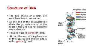 Cell and macromolecules | PPTX