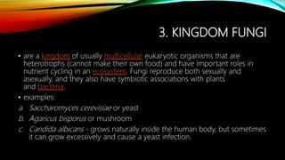 Cell and microorganisms