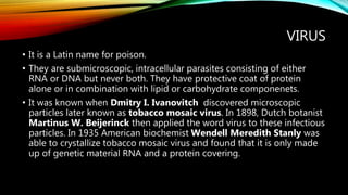 Cell and microorganisms