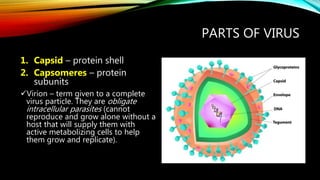 Cell and microorganisms
